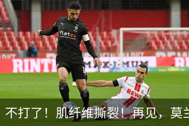 不打了！肌纤维撕裂！再见，莫兰特